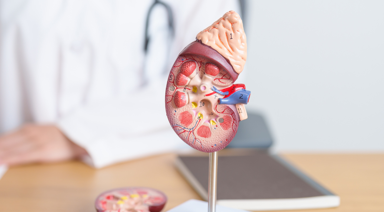 Urology-Billing-Service.webp