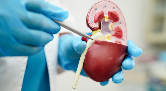 Urology-Billing-Services.webp